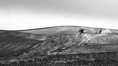 Palouse winter 1
