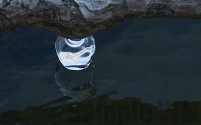 bitterroot river icicle
