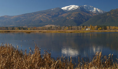 st mary's peak
Keywords: fall color;st marys peak