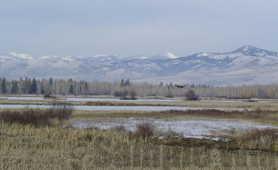 northern ponds and rattlesnake mountains
Keywords: winter